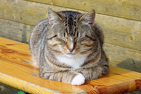 Foto aus der Fotogruppe 