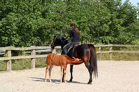 Foto aus der Fotogruppe 