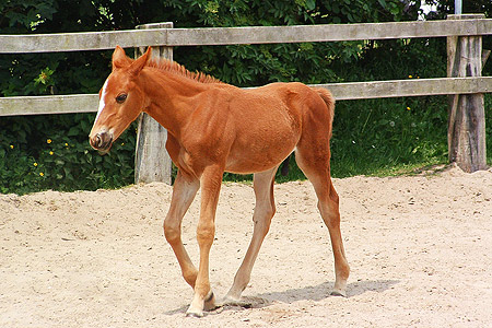 Foto aus der Fotogruppe 