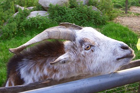 Foto aus der Fotogruppe 