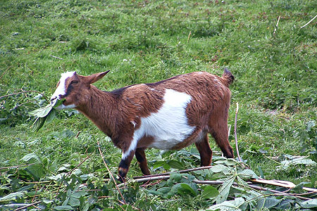 Foto aus der Fotogruppe 