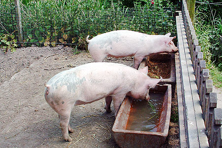 Foto aus der Fotogruppe 