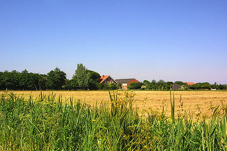 Foto aus der Fotogruppe 