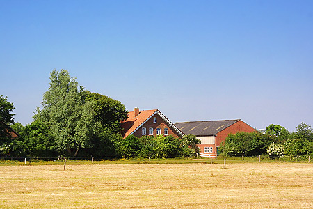 Foto aus der Fotogruppe 
