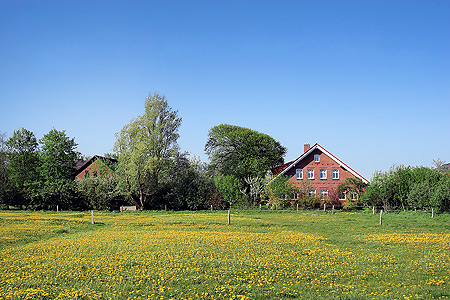 Foto aus der Fotogruppe 