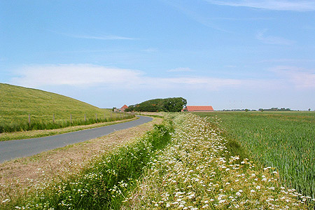 Foto aus der Fotogruppe 