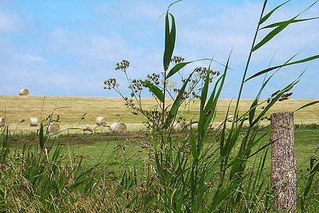 Foto aus der Fotogruppe 