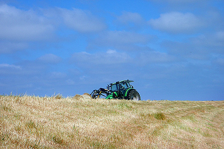 Foto aus der Fotogruppe 
