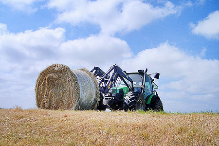 Foto aus der Fotogruppe 