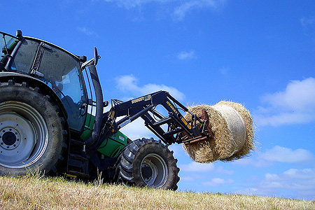 Foto aus der Fotogruppe 