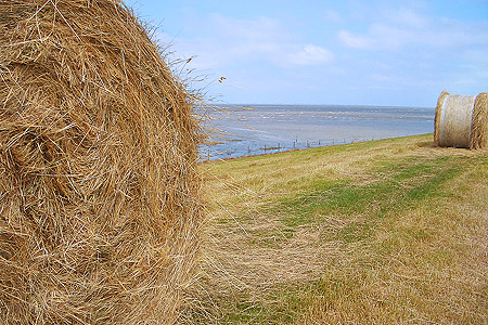 Foto aus der Fotogruppe 