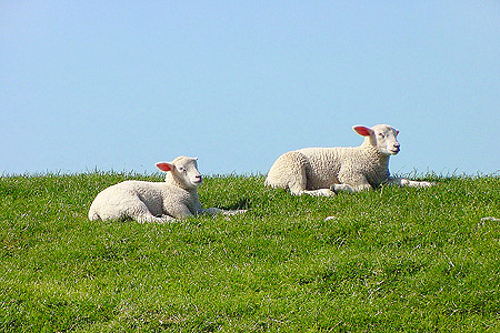 Foto aus der Fotogruppe 