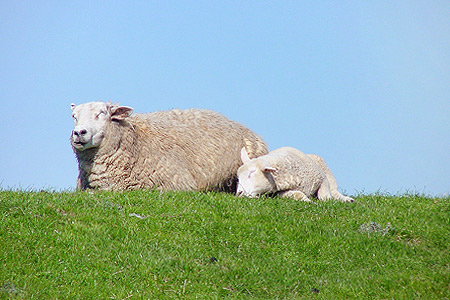 Foto aus der Fotogruppe 