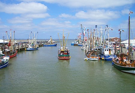 Foto aus der Fotogruppe 