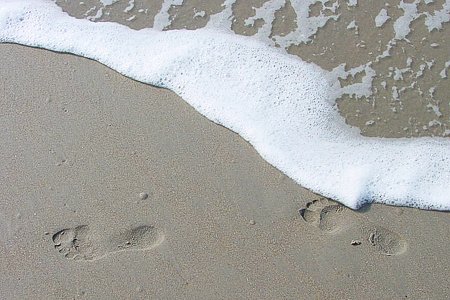 Foto aus der Fotogruppe 