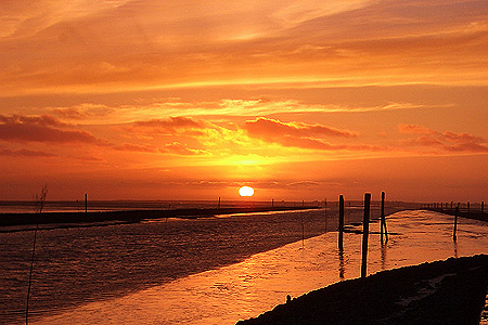 Foto aus der Fotogruppe 