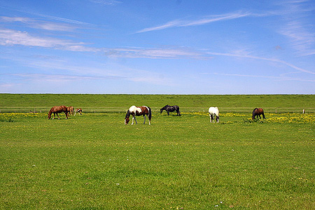 Foto aus der Fotogruppe 