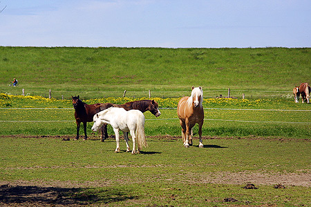 Foto aus der Fotogruppe 