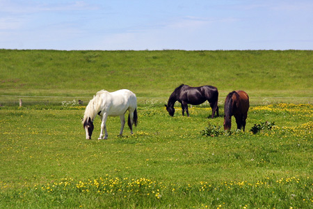 Foto aus der Fotogruppe 