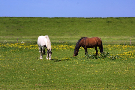 Foto aus der Fotogruppe 