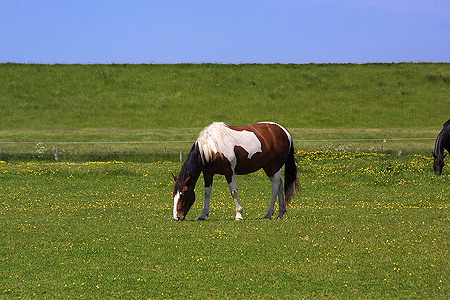 Foto aus der Fotogruppe 