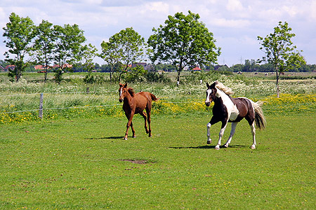 Foto aus der Fotogruppe 
