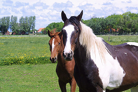 Foto aus der Fotogruppe 