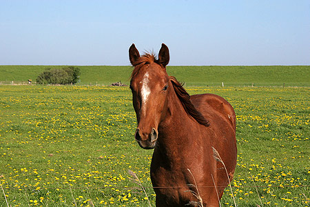 Foto aus der Fotogruppe 