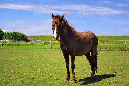 Foto aus der Fotogruppe 