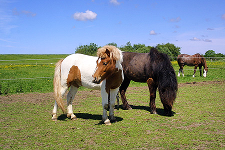 Foto aus der Fotogruppe 