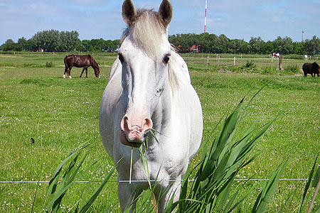 Foto aus der Fotogruppe 