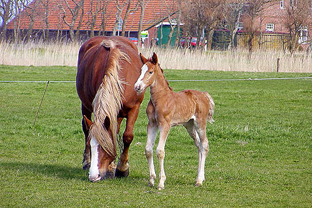 Foto aus der Fotogruppe 
