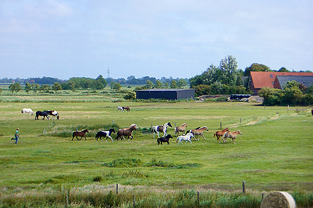 Foto aus der Fotogruppe 