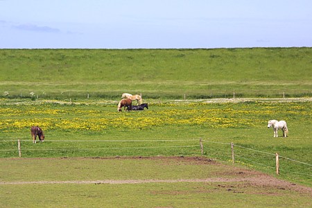 Foto aus der Fotogruppe 