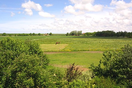 Foto aus der Fotogruppe 