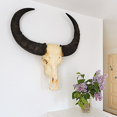 Foto aus der Fotogruppe 